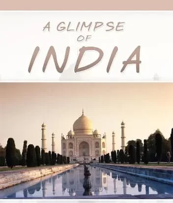 a-glimpse-of-india