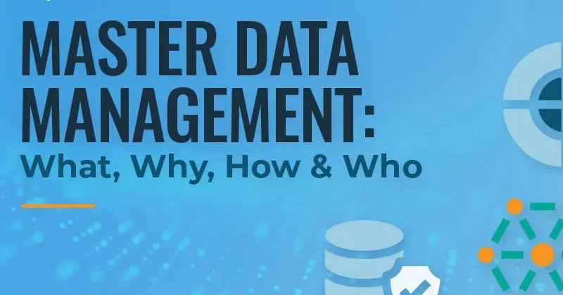 Master Data Management Book PDF