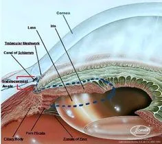 Comprehensive Ophthalmology 2
