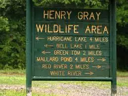 Henry Gray Hurricane Lake WMA 2