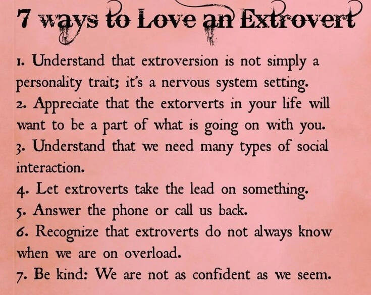 I Wish I Was An Extrovert PDF 02