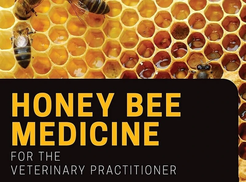 Honeybee PDF 3