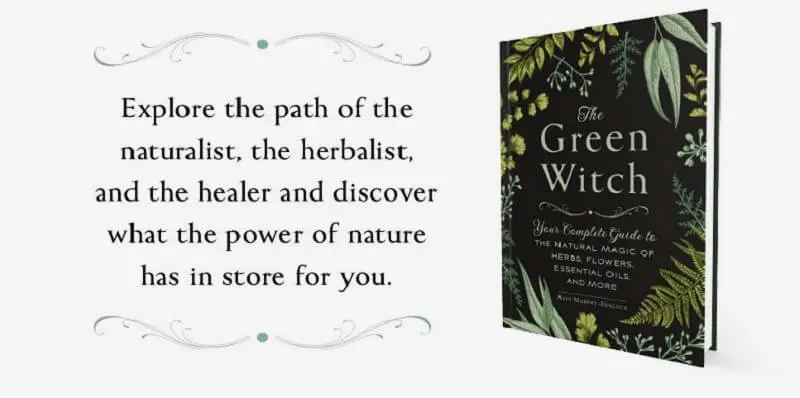 The Green Witch PDF 3
