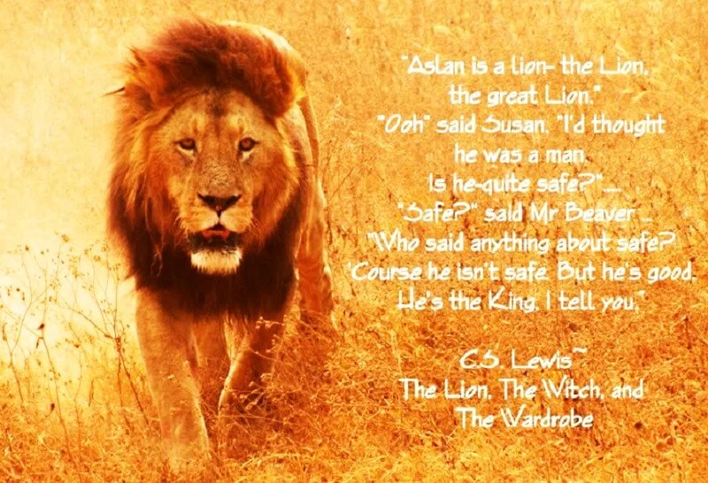 The Lion the Witch and the Wardrobe pdf 3