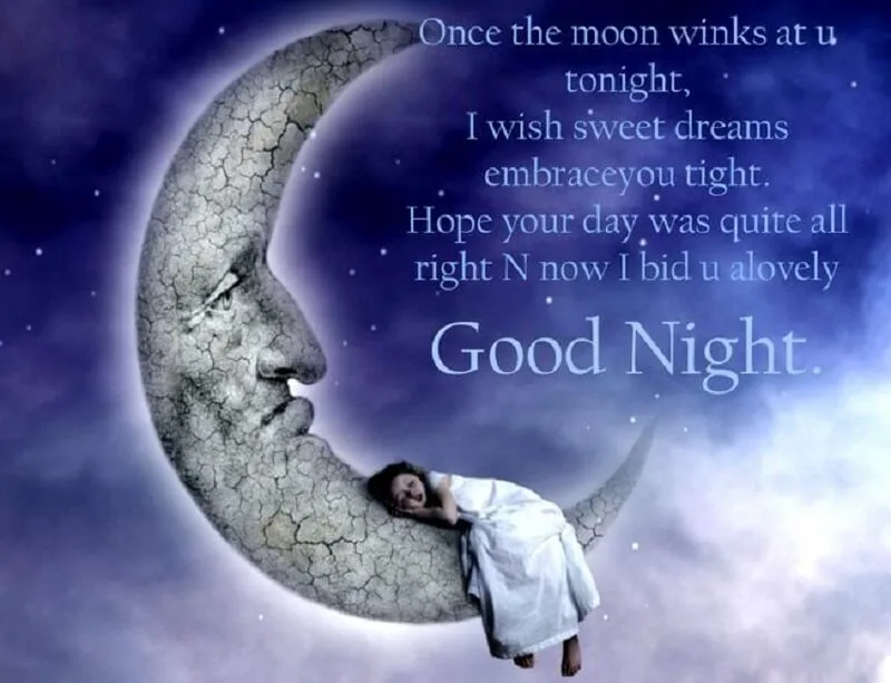 goodnight moon PDF 2