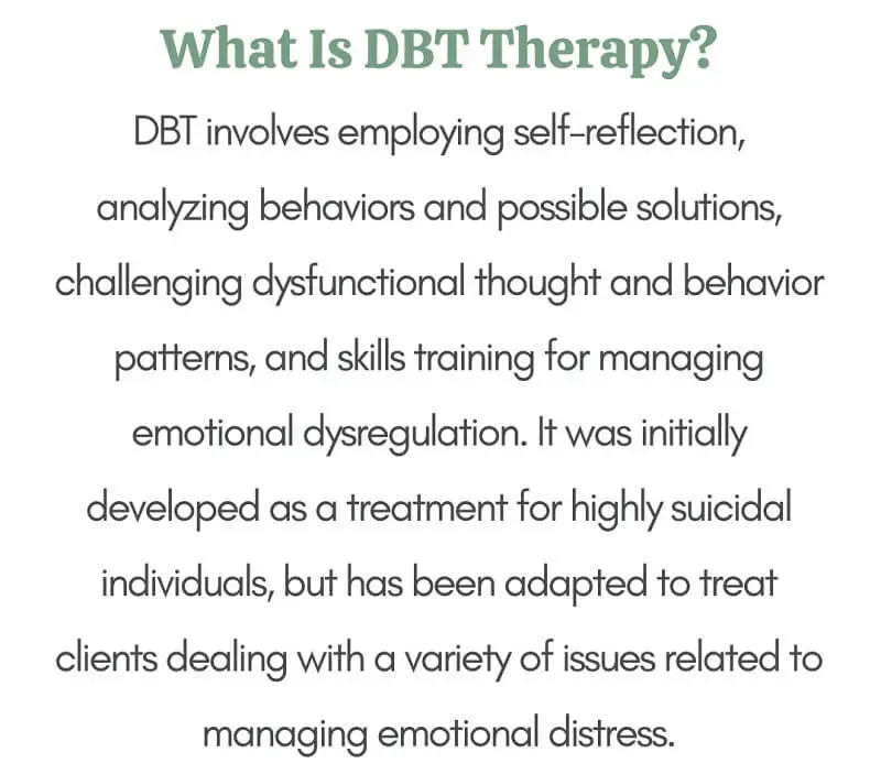 The Dialectical Behavior Therapy Skills Workbook pdf 3