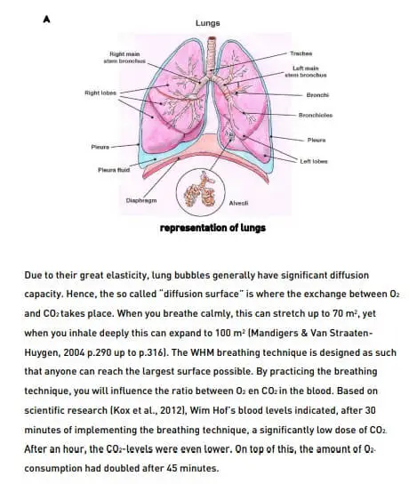 the wim hof method pdf 3